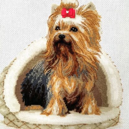 Kit point de croix RIOLIS 2152 Yorkshire Terrier 25x25cm