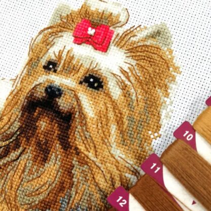 Kit point de croix RIOLIS 2152 Yorkshire Terrier 25x25cm