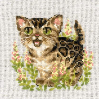 Kit point de croix RIOLIS 2119 Chaton bengal Broderiedumonde