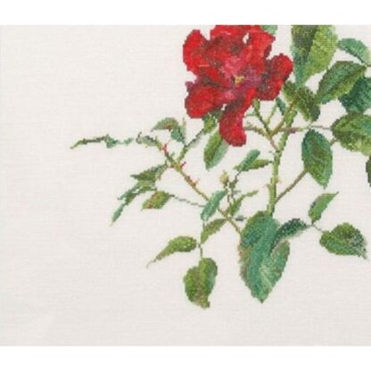 Kit point de croix Thea Gouverneur Rose rouge Fervid 411 44x44cm