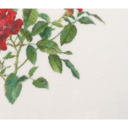 Kit point de croix Thea Gouverneur Rose rouge Fervid 411 44x44cm