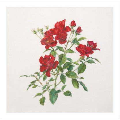 Kit point de croix Thea Gouverneur Rose rouge Fervid 411 44x44cm