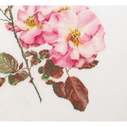 Kit point de croix Thea Gouverneur Rosa Leersum 412 44x44cm