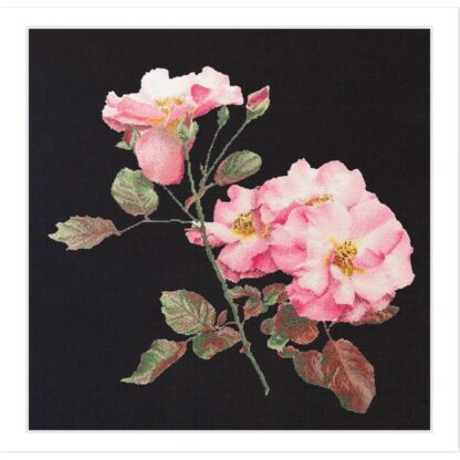 Kit point de croix Thea Gouverneur Rosa Leersum 412-05 44x44cm