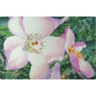 Kit point de croix Thea Gouverneur Rose New face 425A Broderiedumonde