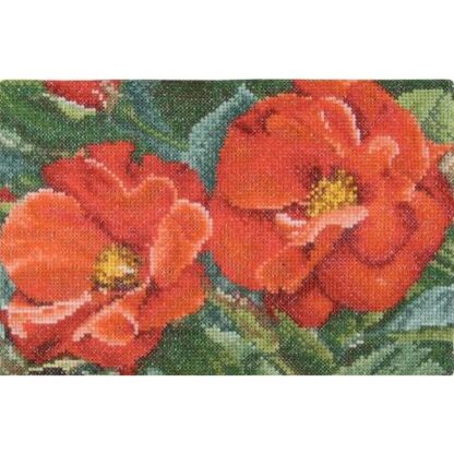 Kit point de croix Thea Gouverneur Rose Orangeade 427A Broderiedumonde