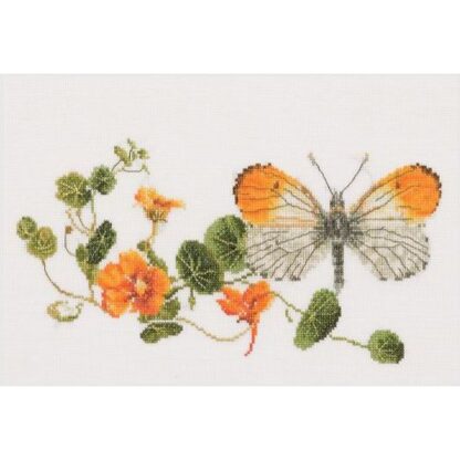 Kit point de croix Thea Gouverneur Papillon Nasturtium 437 Broderiedumonde