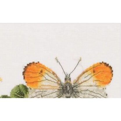 Kit point de croix Thea Gouverneur Papillon Nasturtium 437A 29x18cm