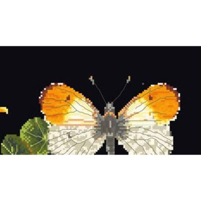 Kit point de croix Thea Gouverneur Papillon Nasturtium 437-05 29x18cm