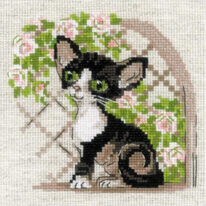 Kit point de croix RIOLIS 2121 Chaton Rex de Cornouailles BRODERIEDUMONDE