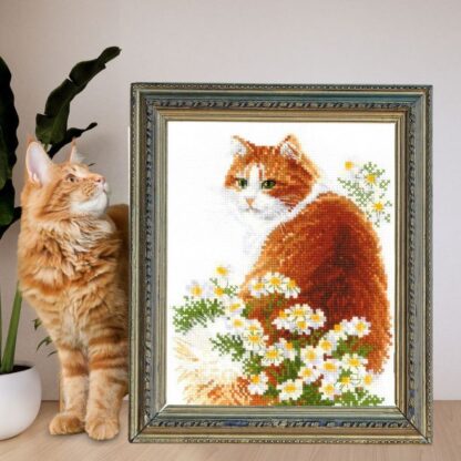 Kit point de croix RIOLIS 2110 Le chat Ginger 24x30cm