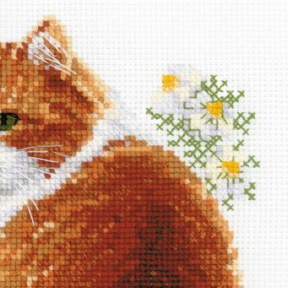 Kit point de croix RIOLIS 2110 Le chat Ginger 24x30cm