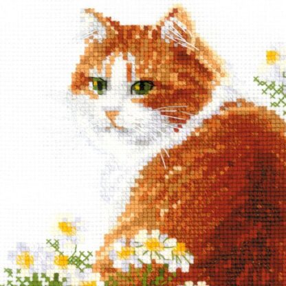 Kit point de croix RIOLIS 2110 Le chat Ginger 24x30cm