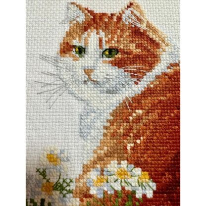 Kit point de croix RIOLIS 2110 Le chat Ginger 24x30cm