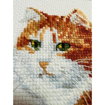 Kit point de croix RIOLIS 2110 Le chat Ginger 24x30cm