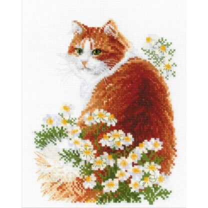 Kit point de croix RIOLIS 2110 Le chat Ginger Broderiedumonde