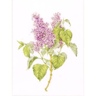 Kit point de croix Thea Gouverneur Branche de lilas 588 Broderiedumonde