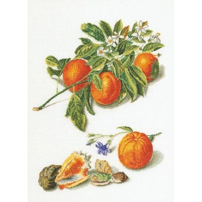 Kit point de croix Thea Gouverneur Oranges et mandarines 3061A Broderiedumonde