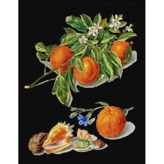 Kit point de croix Thea Gouverneur Oranges et mandarines 3061-05 Broderiedumonde
