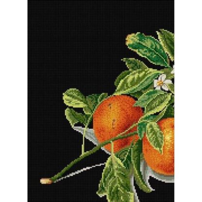 Kit point de croix Thea Gouverneur Oranges et mandarines 3061-05 33x45cm