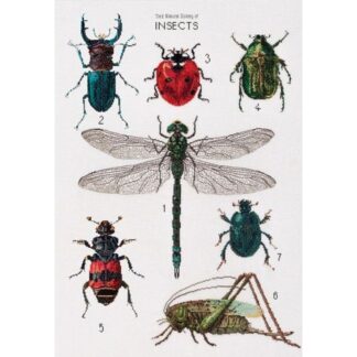 Kit point de croix Thea Gouverneur Histoire des insectes 566 Broderiedumonde