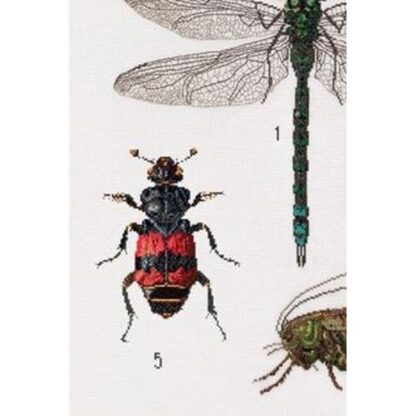 Kit point de croix Thea Gouverneur Histoire des insectes 566 55x76cm