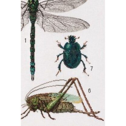 Kit point de croix Thea Gouverneur Histoire des insectes 566 55x76cm