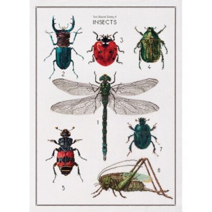 Kit point de croix Thea Gouverneur Histoire des insectes 566 55x76cm