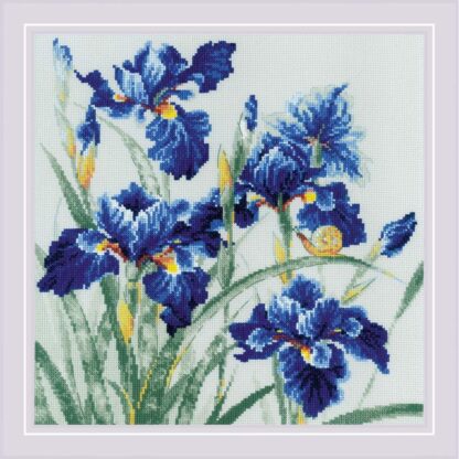 RIOLIS 2102 Iris bleus