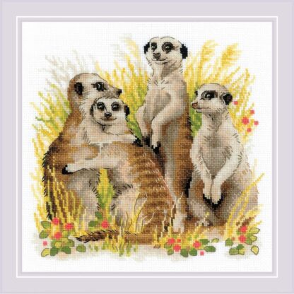 Kit point de croix RIOLIS 1761 Suricates 25x25cm