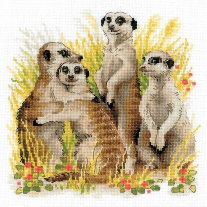 Kit point de croix RIOLIS 1761 Suricates Broderiedumonde