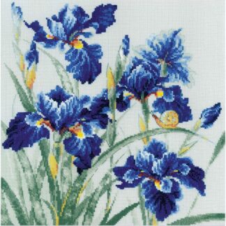 Kit point de croix RIOLIS 2102 Iris bleus Broderiedumonde