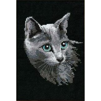 Chat gris de Russie de Riolis