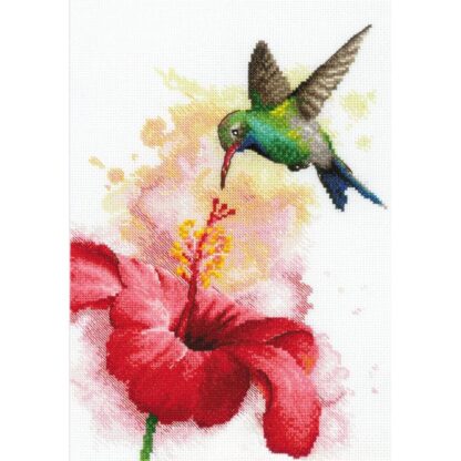 Colibri sur fleur de Riolis