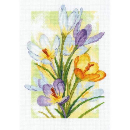 Bouquet de crocus